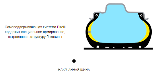 CinturatoP7_04.png